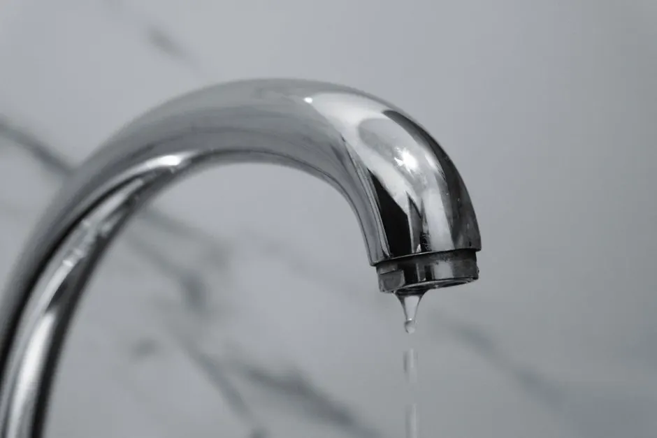 Commercial Leak Detection
